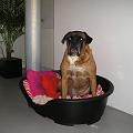 Spock 30 augustus 2005 (2)